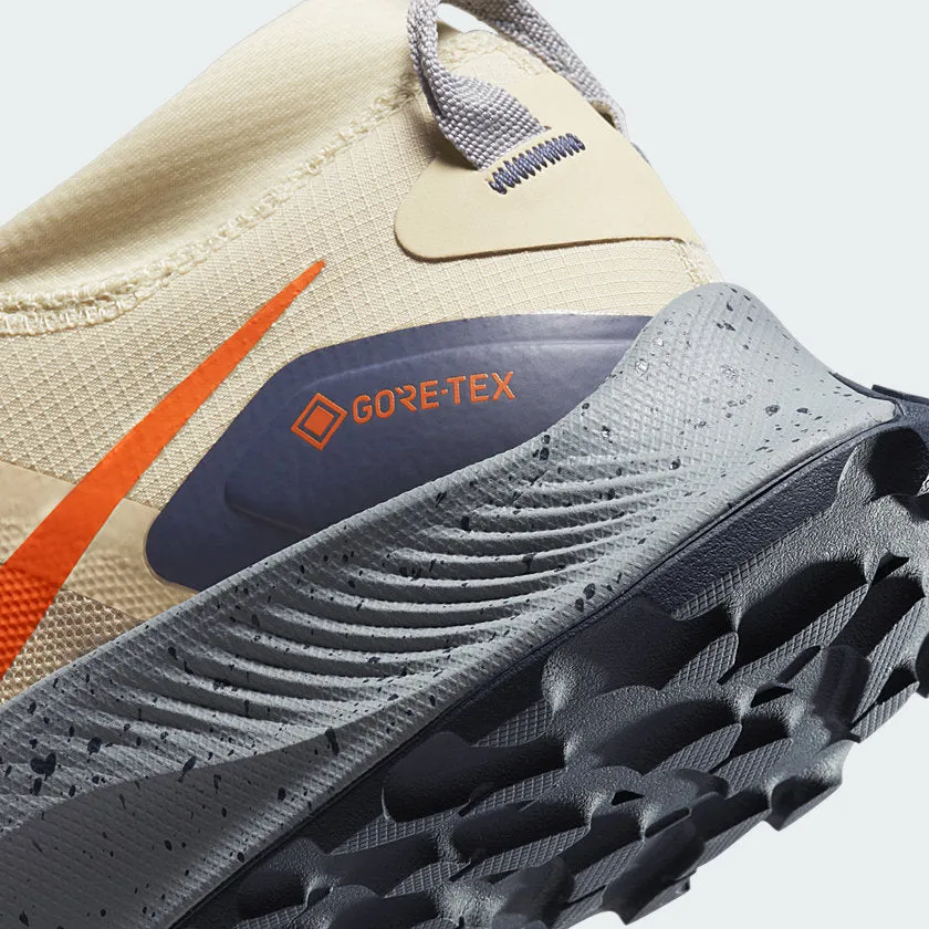 Nike Men's Pegasus Trail 3 Gore-Tex DC8793 200